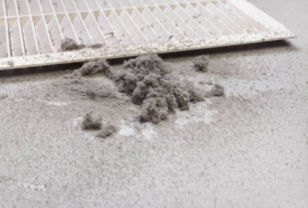 Best Home Air Vent Cleaning  in Salem, MA
